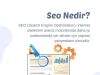 Seo Nedir?