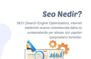 Seo Nedir?